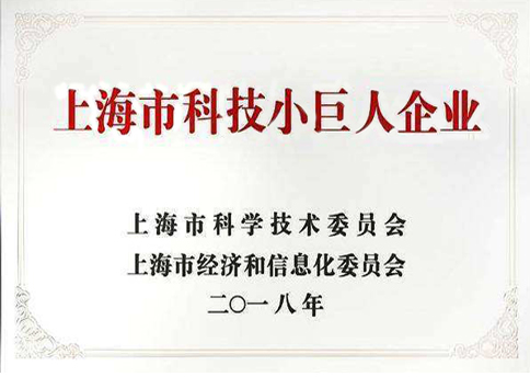 科技小巨人企業(yè)