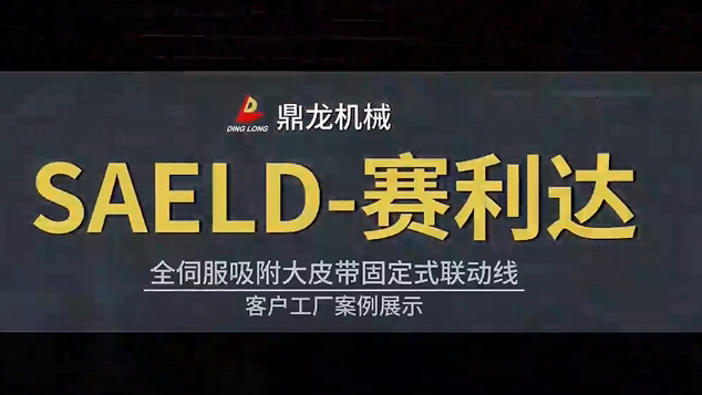 FFG-SAELD-TP924-2.mp4